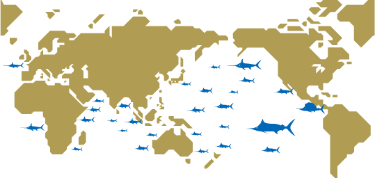 カジキ漁業の世界地図